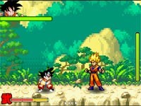 Dragon Ball Fighting