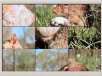 Jigsaw Puzzle