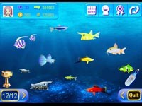 Papaya Fish Android