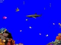 Shadow-Shark