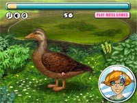 Lucky Duck