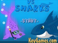 Seal Vs Sharks