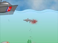 Shark Attack