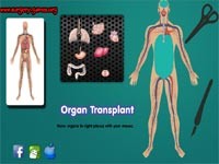 Organ Transplant: Trapianto Di Organi